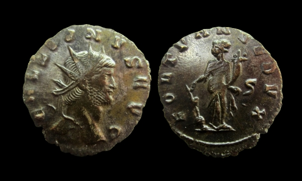 gal fortuna 6.jpg