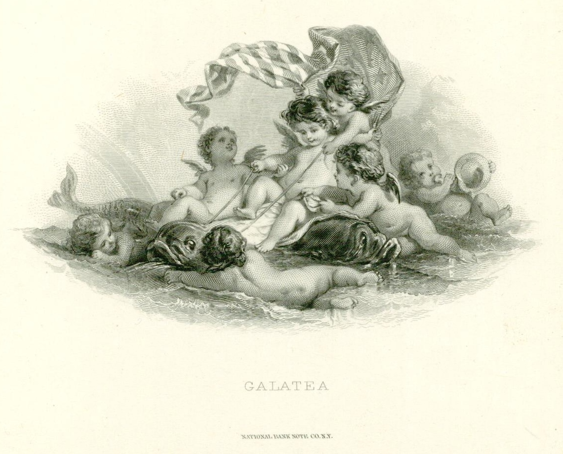 Galatea cu.jpg