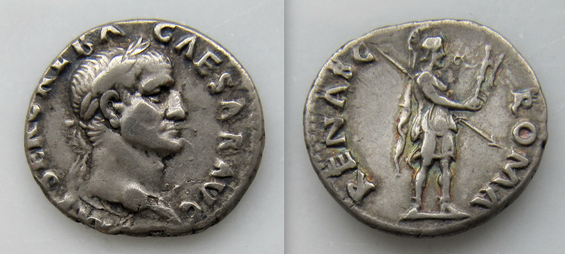 Galba denarius Roma Renasces - OBV:REV - VGP - 2023 - 2024 .png
