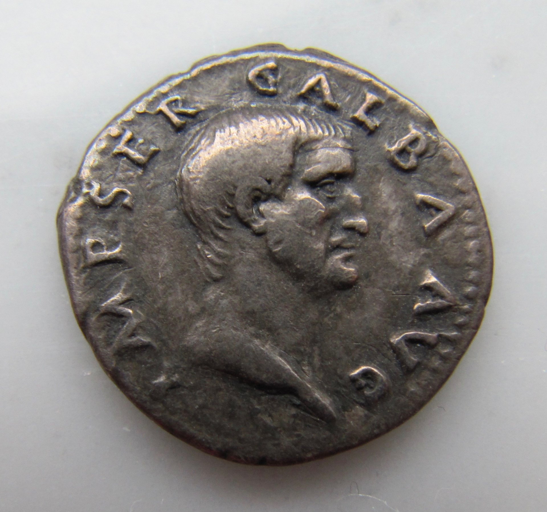 Galba denarius-wreath-obv - 1.jpg