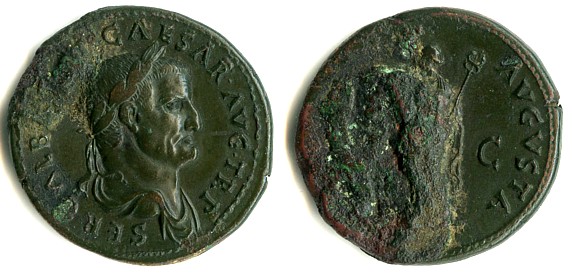 Galba dupondius~0.jpg