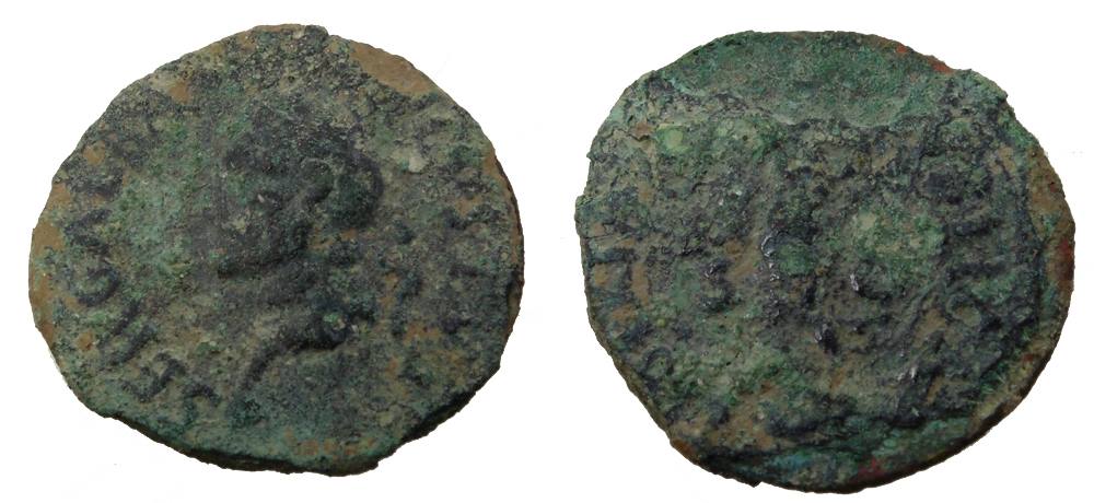 galba.jpg