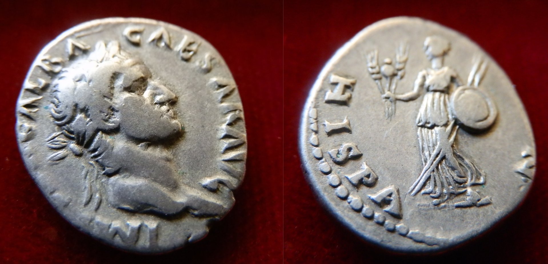 GALBA new.jpg