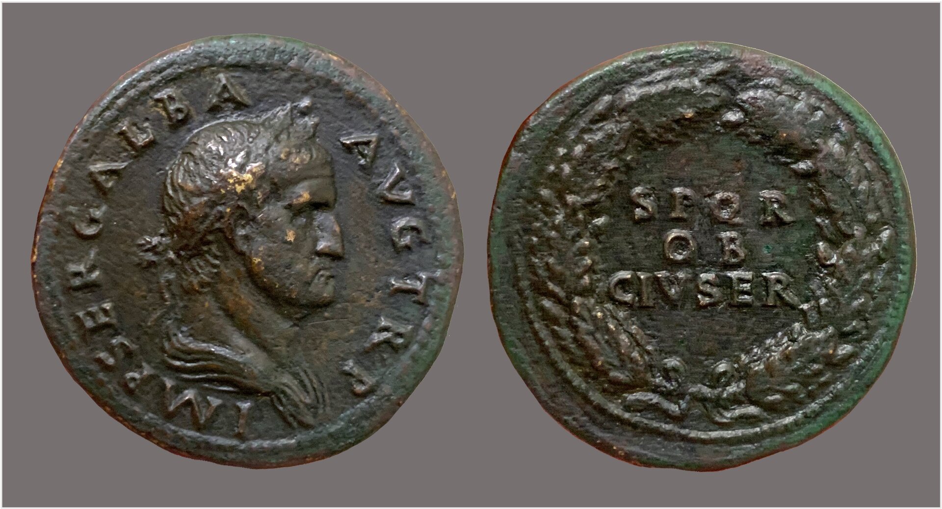 Galba sestertius.jpg