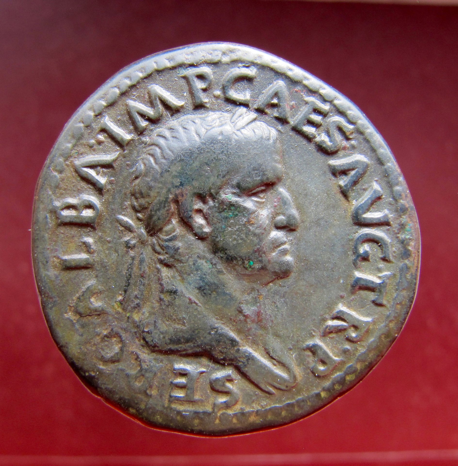 Galba sestertius-Wreath-Obv - 1.jpg