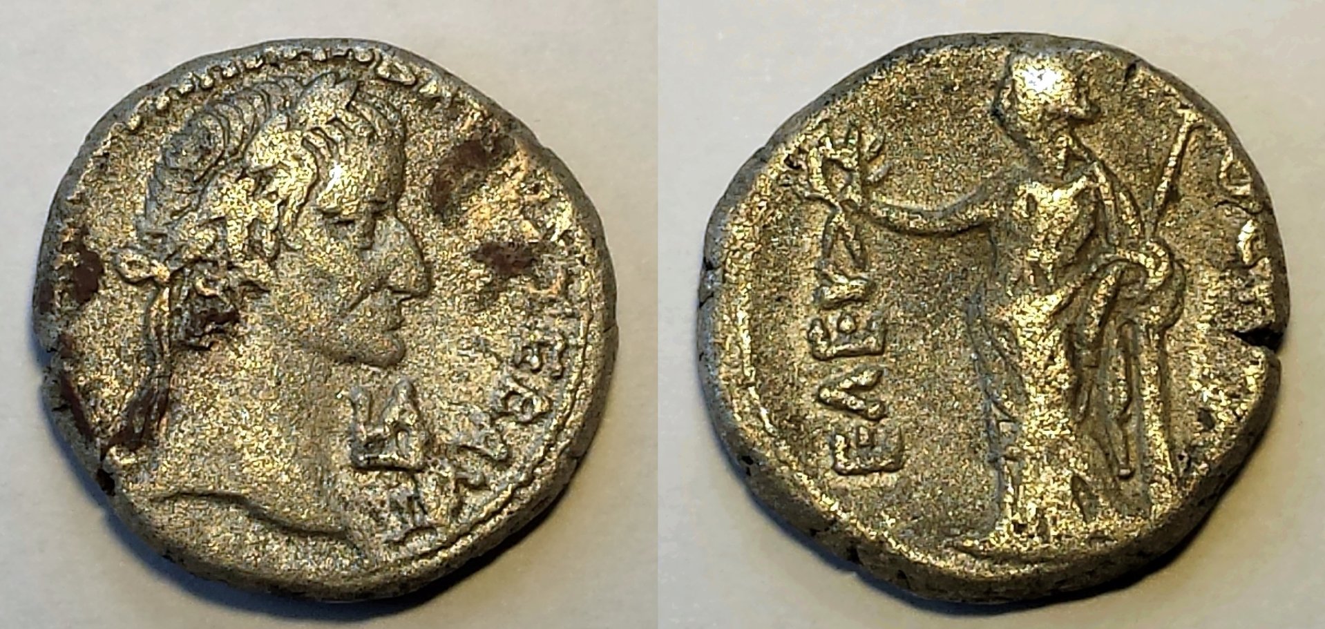 Galba1.jpg