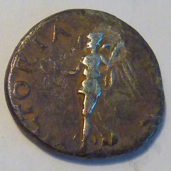 Galba3_REV_opt.jpg