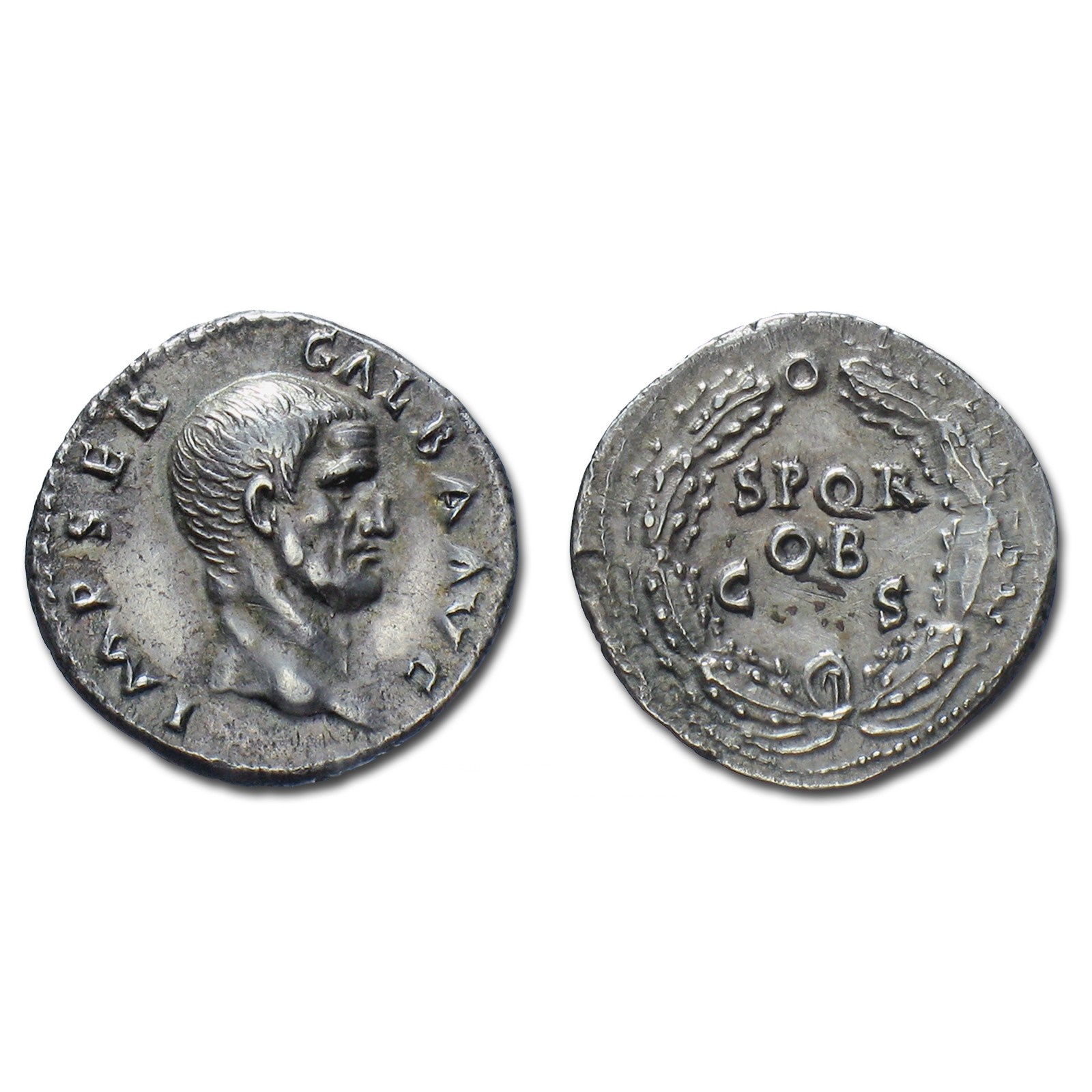 galba_LI.jpg