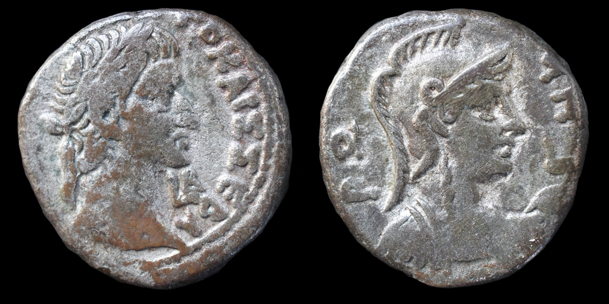 Galba_Tet.jpg