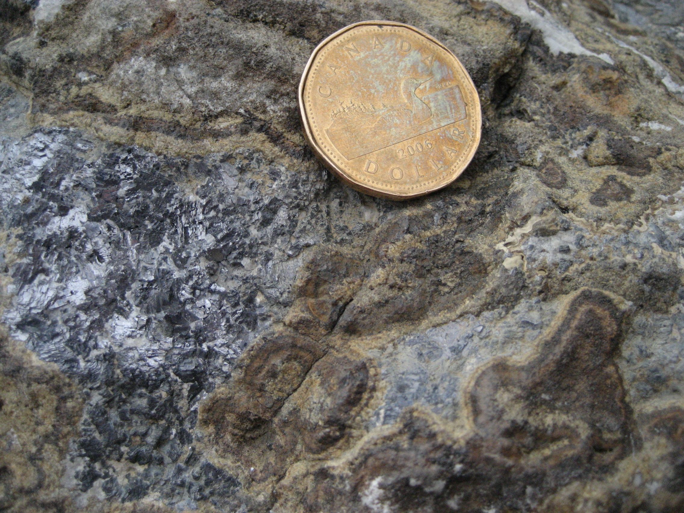 Galena_Pine_Point.jpg