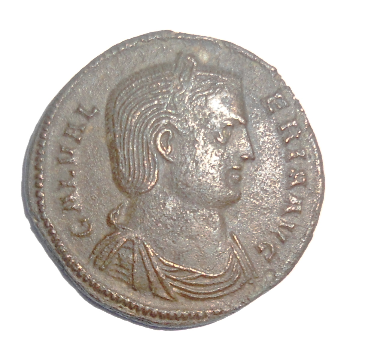 GaleriaVen O     Venus GL.JPG