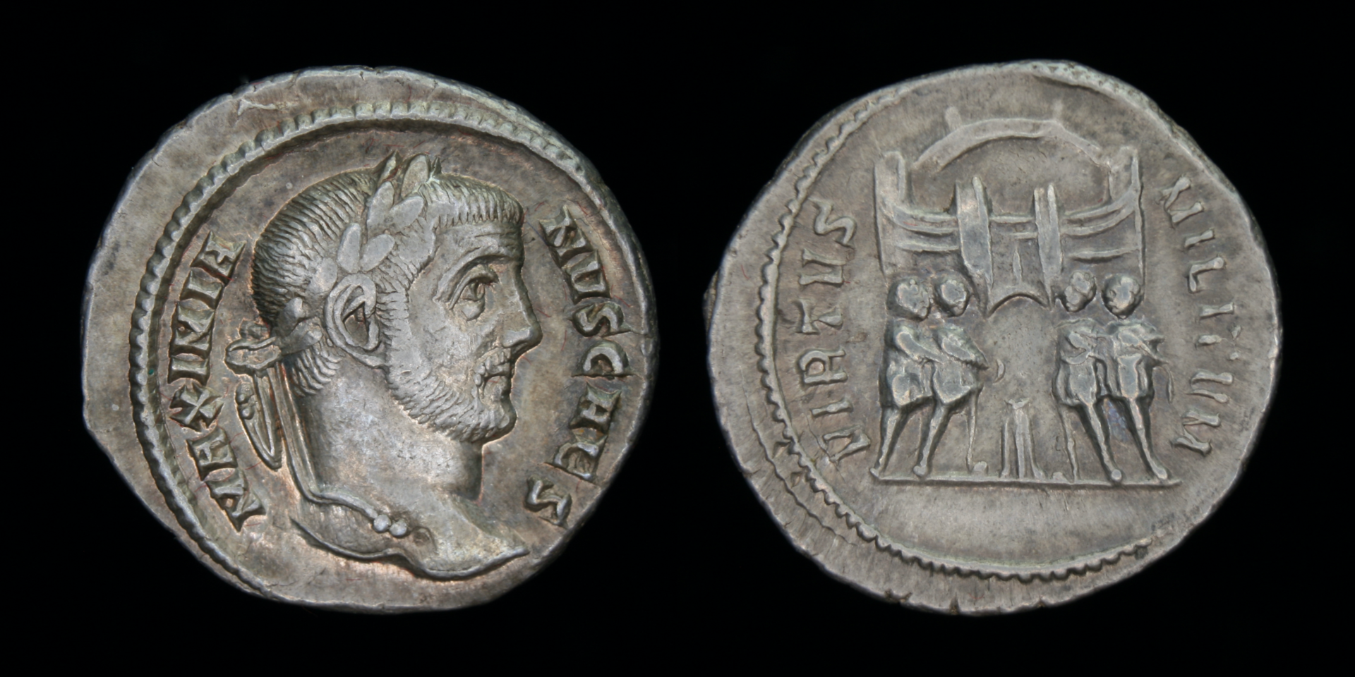 galerius argenteus.png