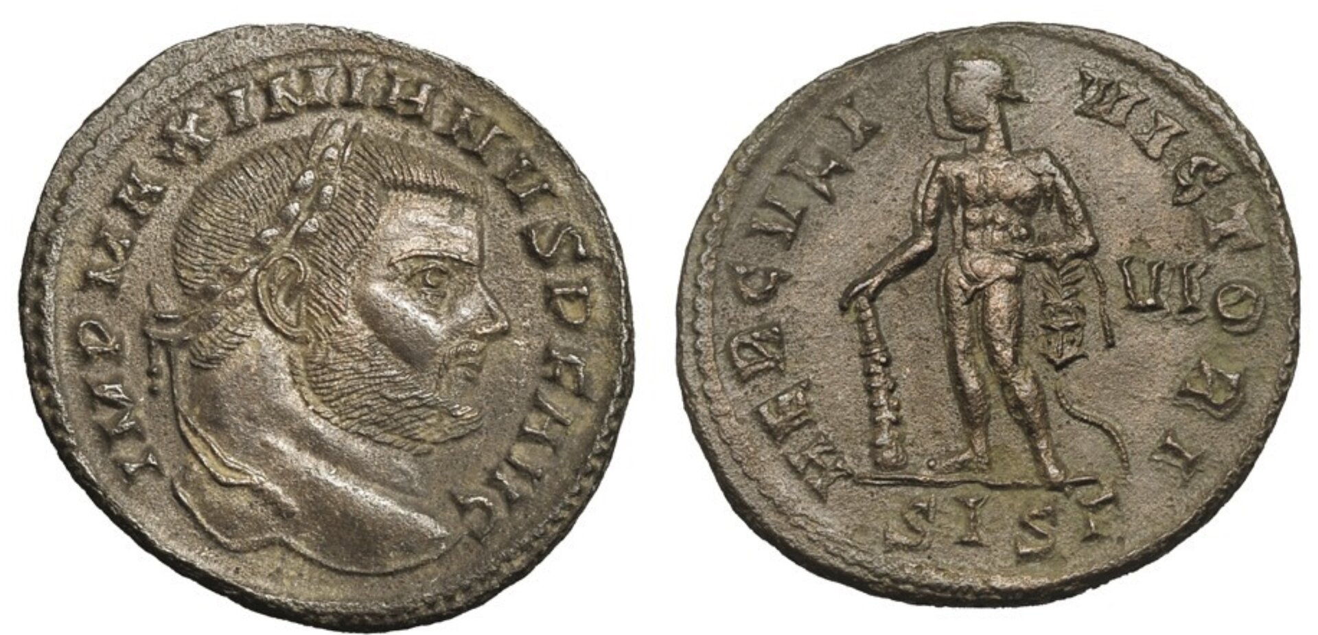 Galerius herculi.jpeg