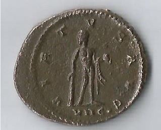 GalHerc R        Asian mint.JPG