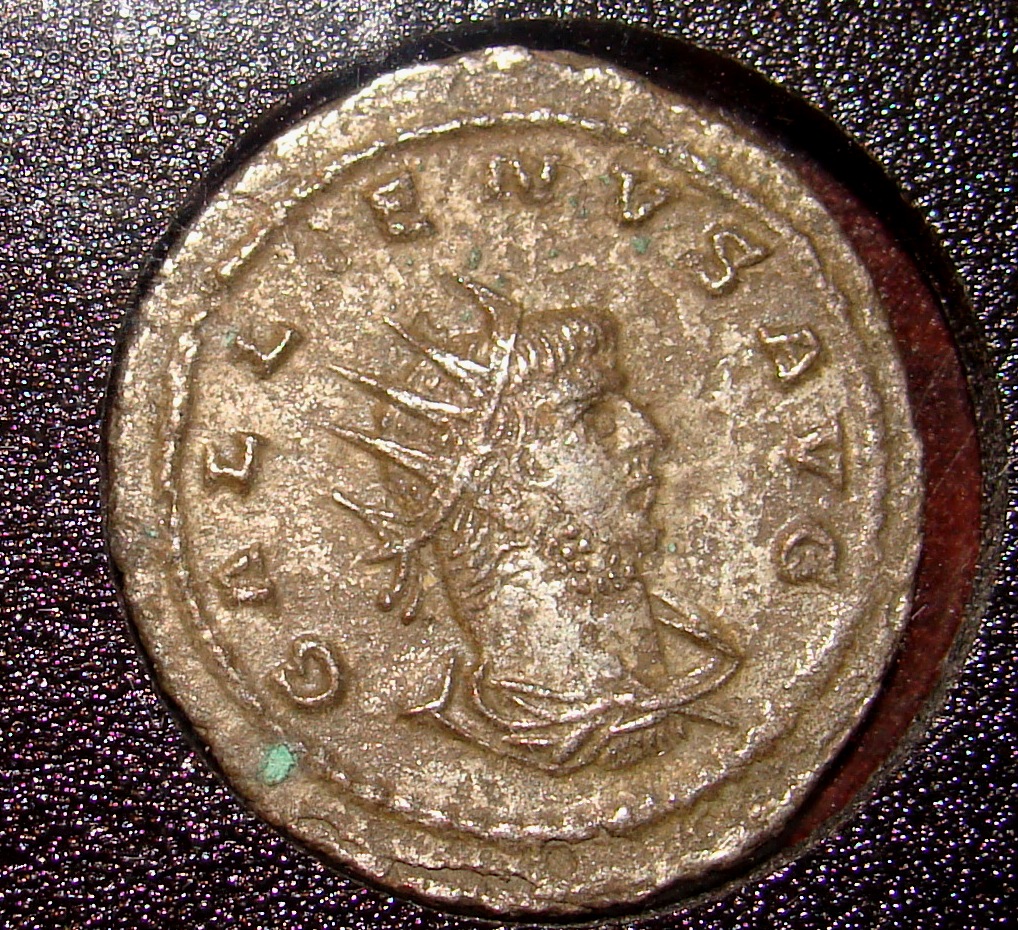 Gallenius OBV.JPG