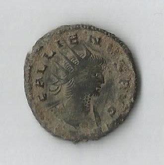 Gallian O ANT Salus.jpg