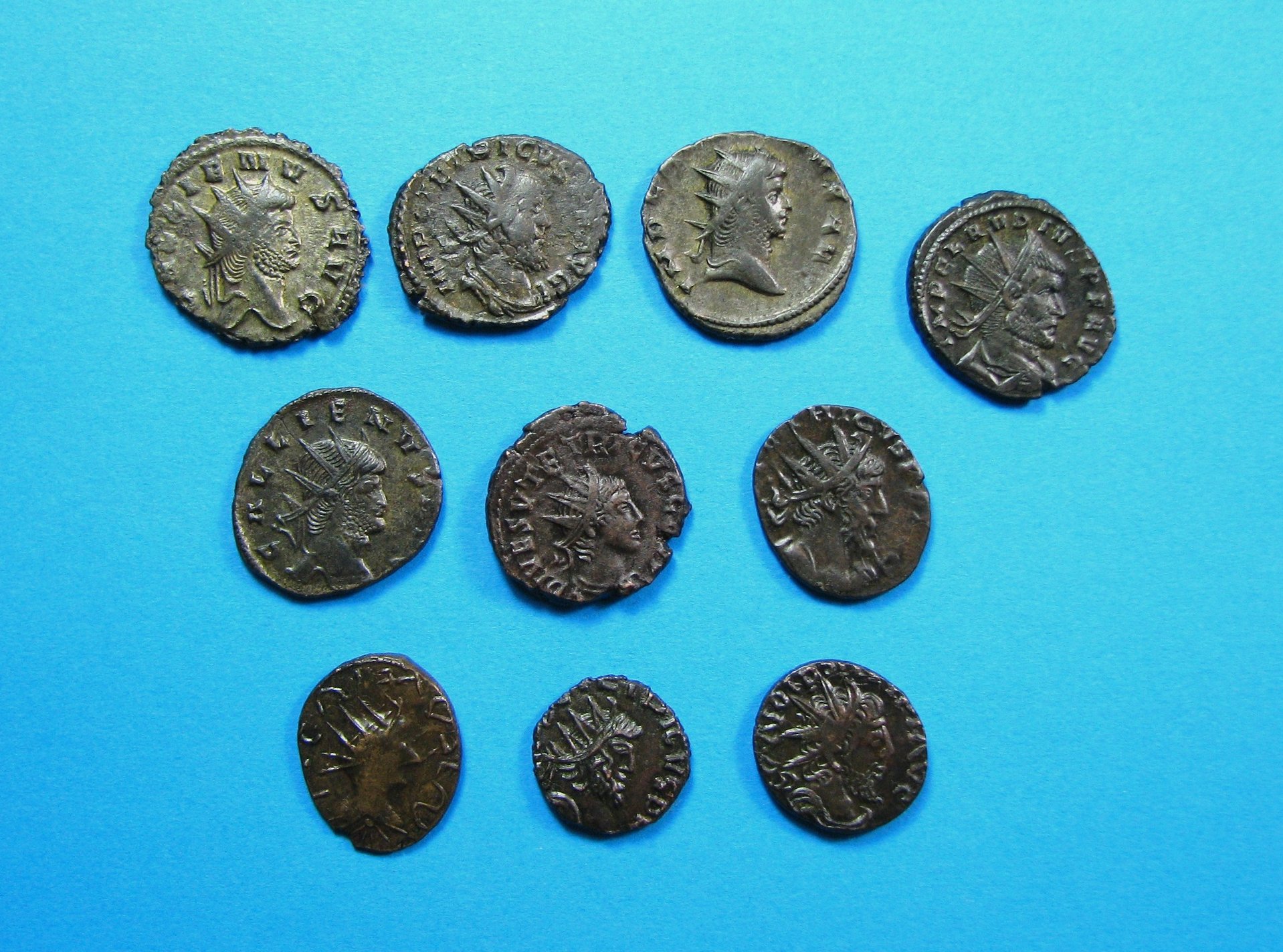 gallics 008.JPG