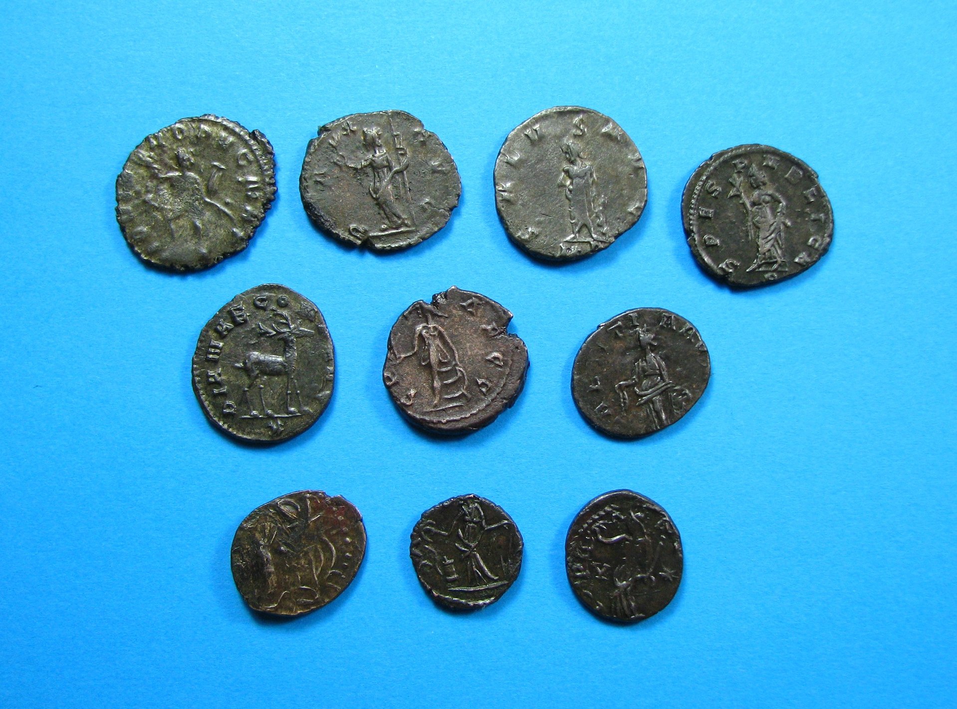 gallics 010.JPG