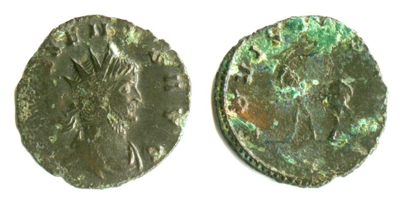Gallien 5.jpg