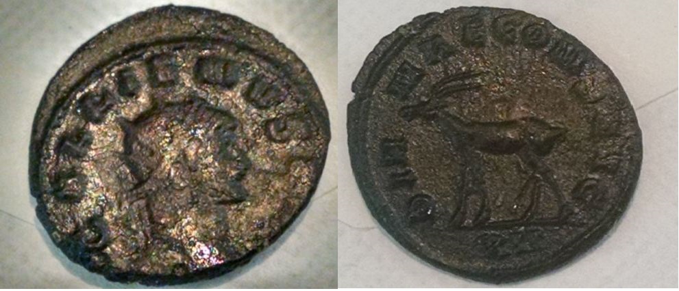 Gallienus 001_opt (1).jpg