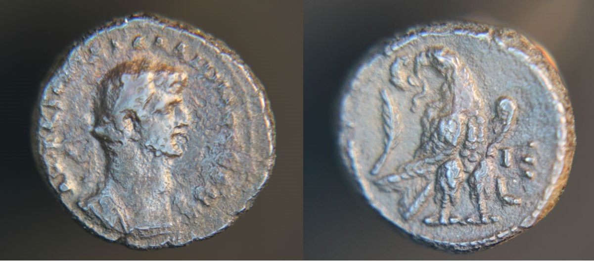 Gallienus 001_opt.jpg