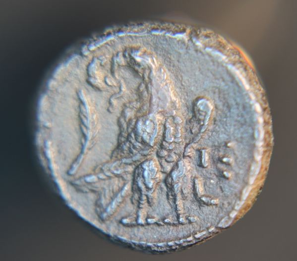 Gallienus 002_opt.jpg