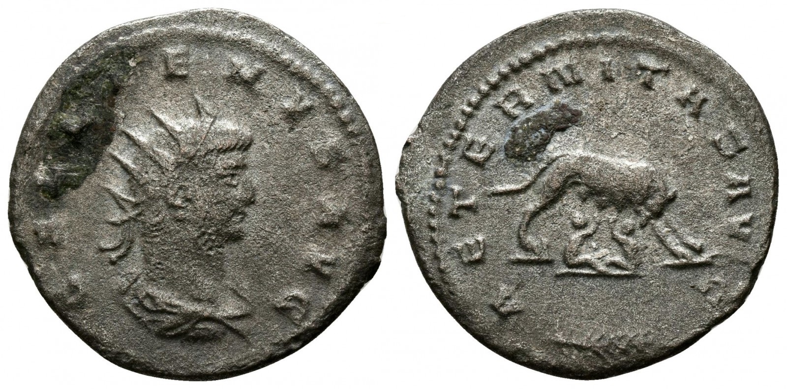 Gallienus AETERNITAS AVG wolf and twins antoninianus.jpg