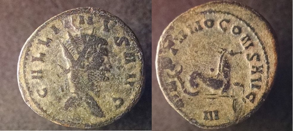 Gallienus animals 006_opt (1).jpg
