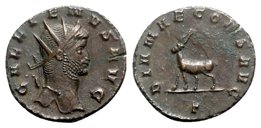 Gallienus - antelope left.jpg