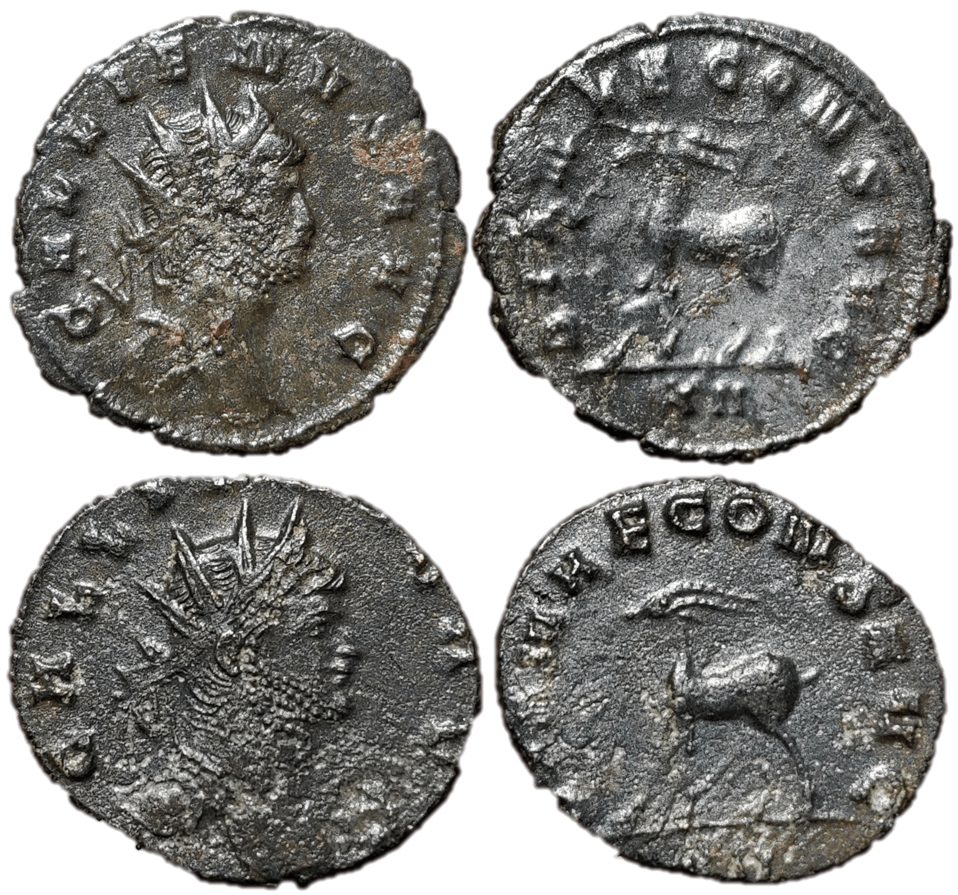 gallienus antelope-min.png
