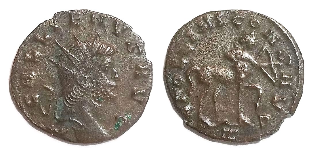 Gallienus APOLLINI CONS AVG centaur right antoninianus.jpg