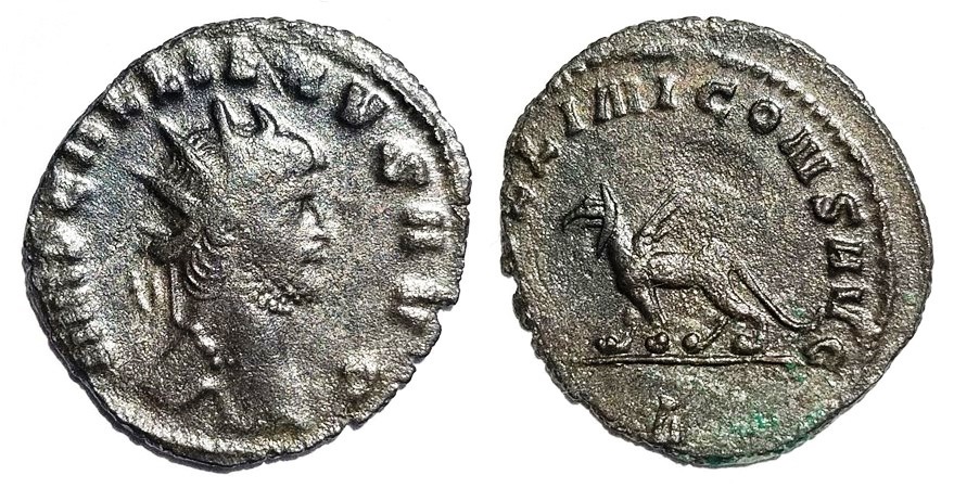 Gallienus APOLLINI CONS AVG griffin Antoninianus.jpg