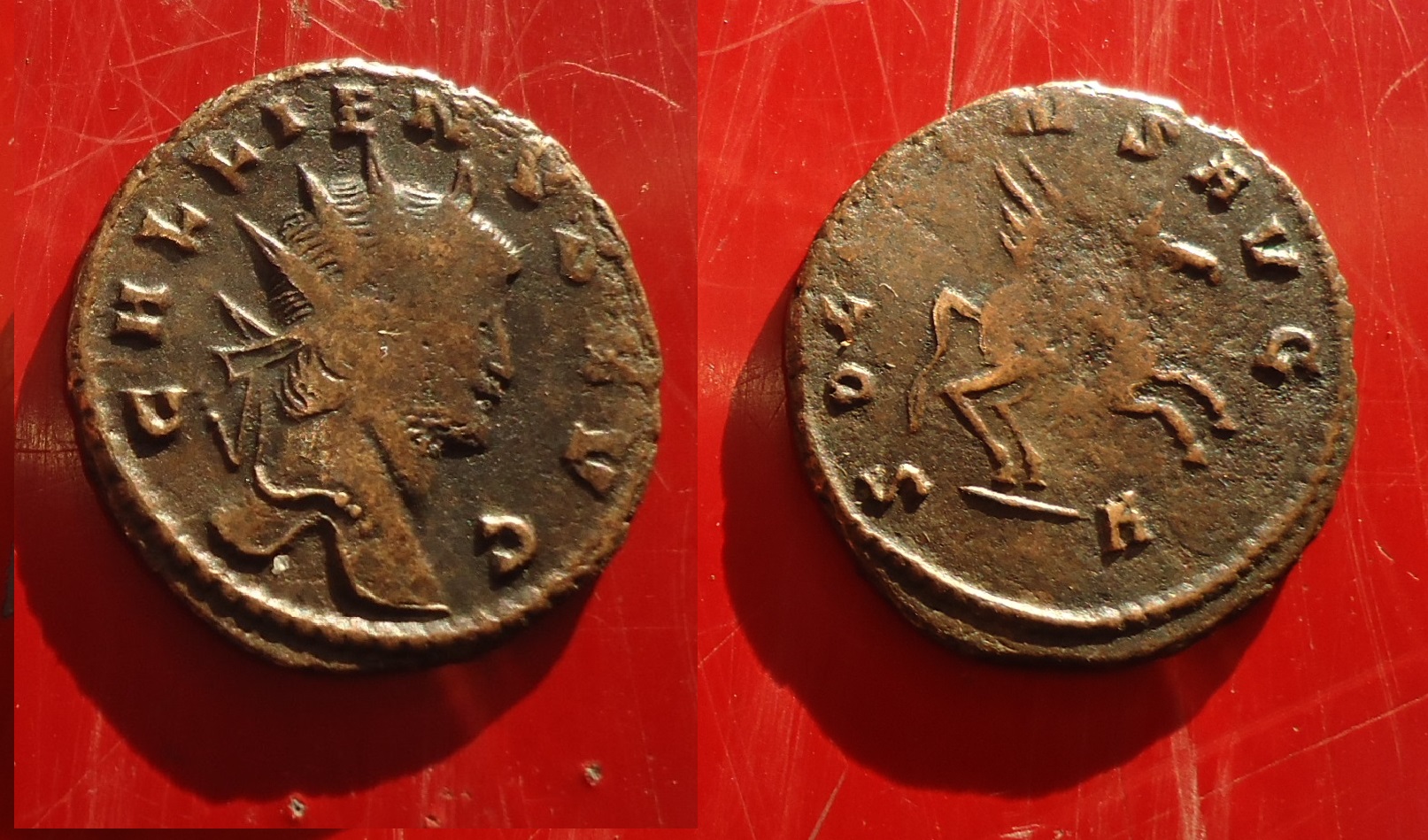 Gallienus boxed July 2018 (0).jpg