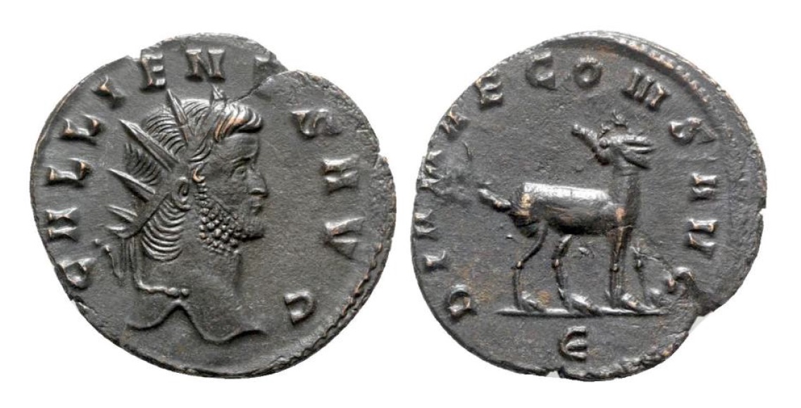 Gallienus doe jpg version.jpg