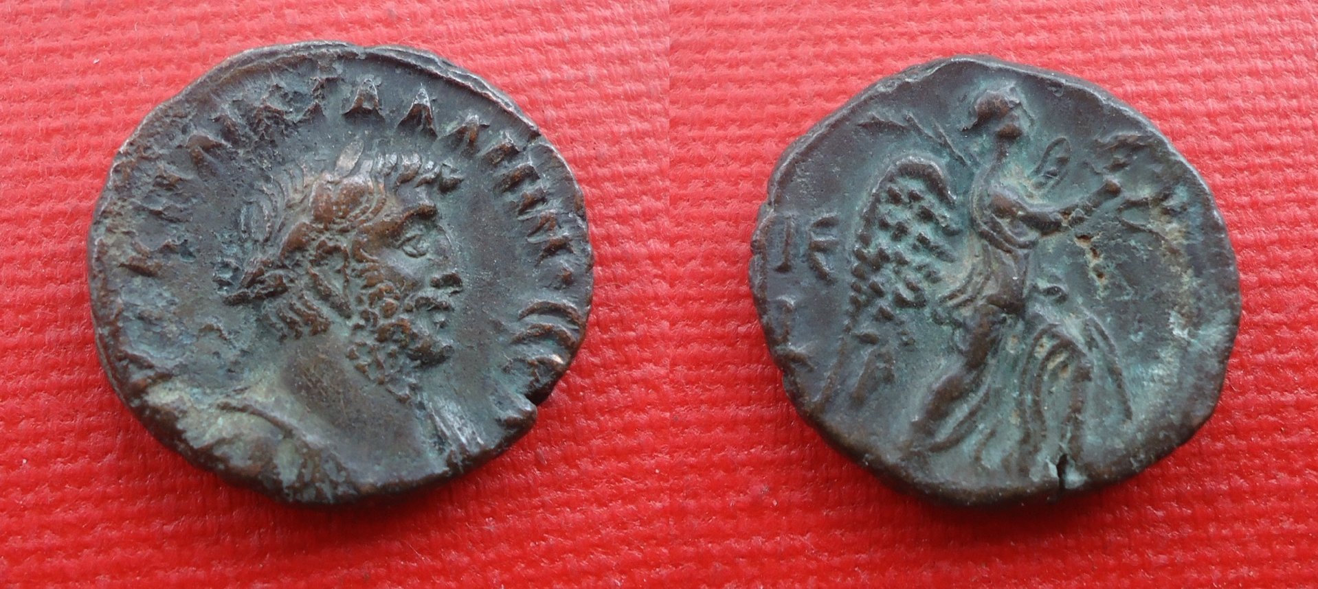 Gallienus - Egypt Tet Nov 2018 (0).jpg