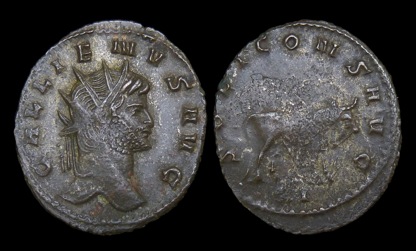 Gallienus - ex Holmes Zoo Bull 3537.jpg