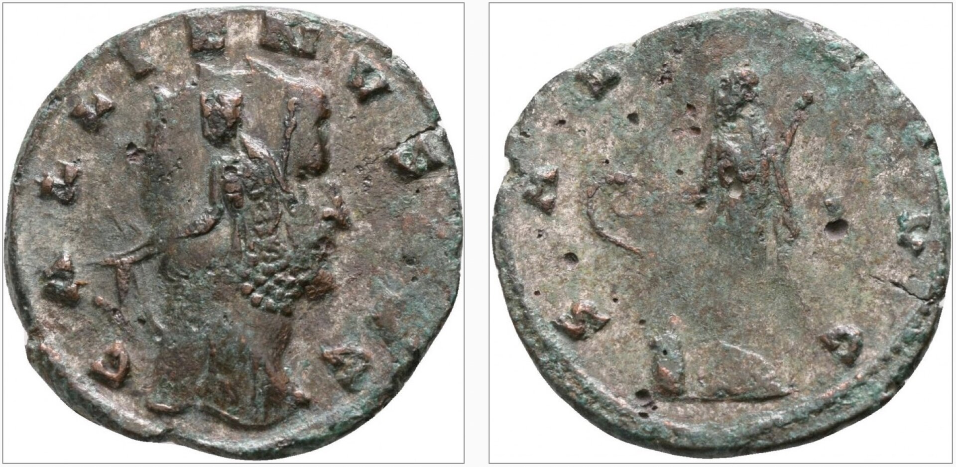 gallienus flipover.jpg