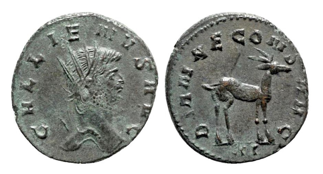 Gallienus gazelle jpg version.jpg