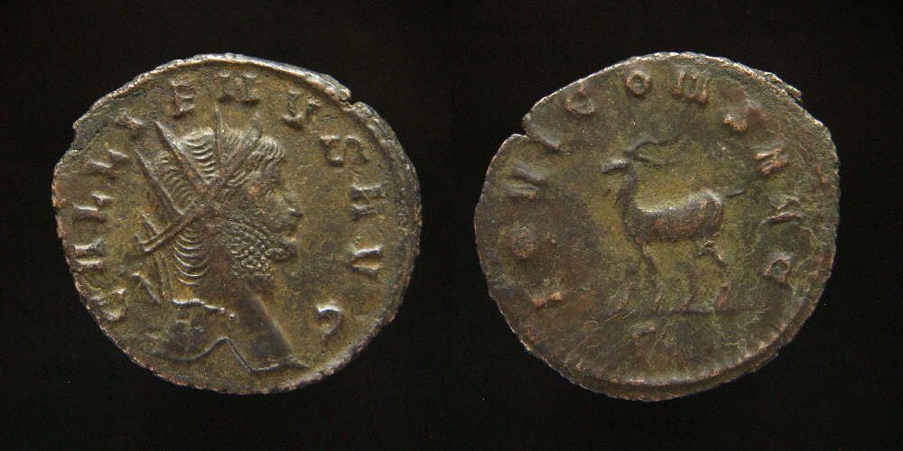 Gallienus Goat.JPG