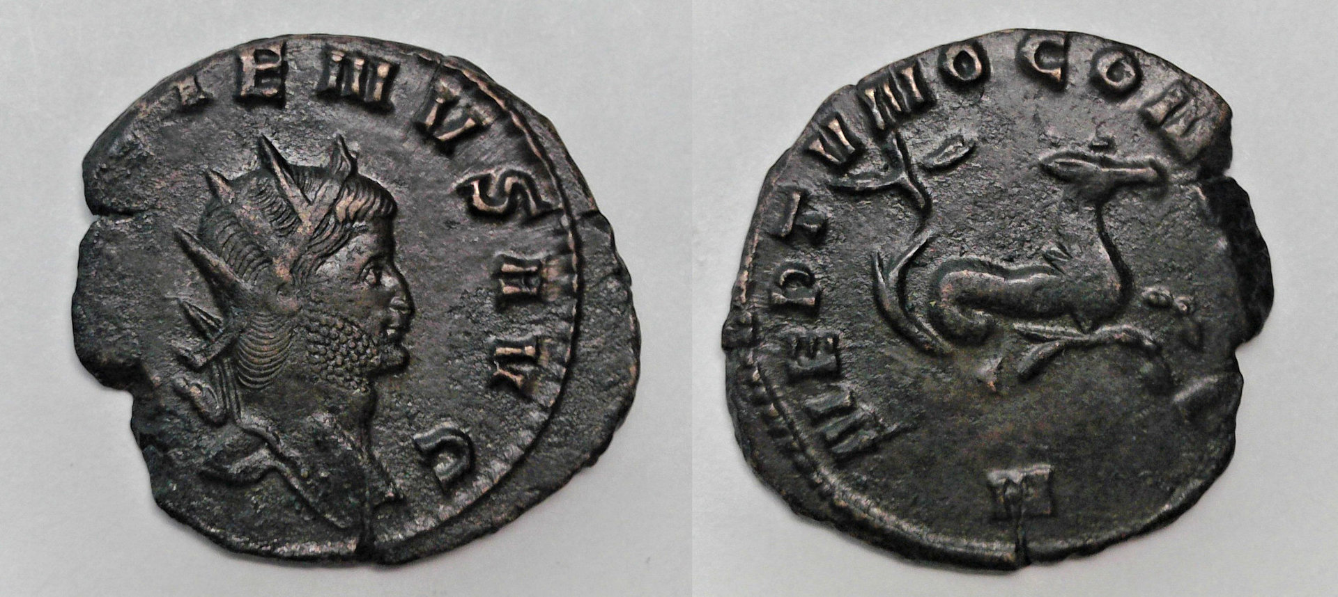 Gallienus Hippocamp.jpg