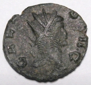 gallienus hippocamp.jpg