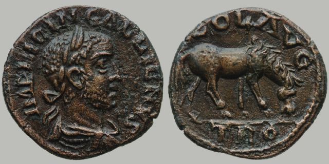 Gallienus horse troas alex.JPG