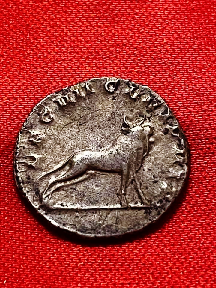 Gallienus legionary coin with bull, Rev. 2.jpg