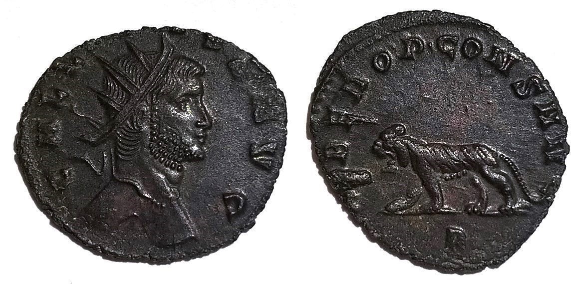 Gallienus LIBERO P CONS AVG tiger antoninianus.jpg