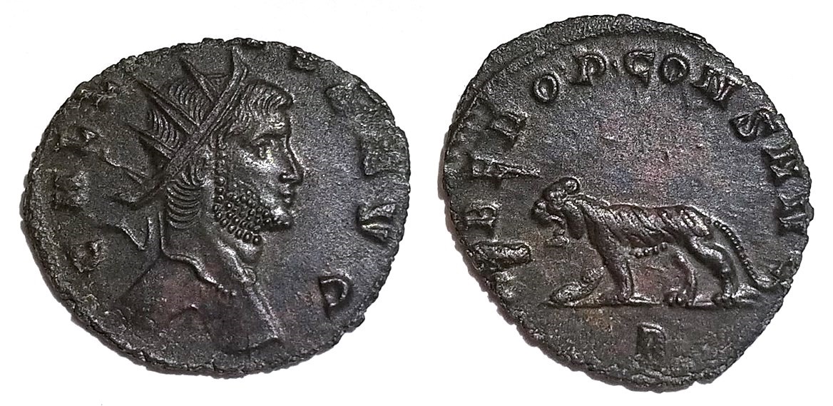 Gallienus LIBERO P CONS AVG tiger antoninianus.jpg