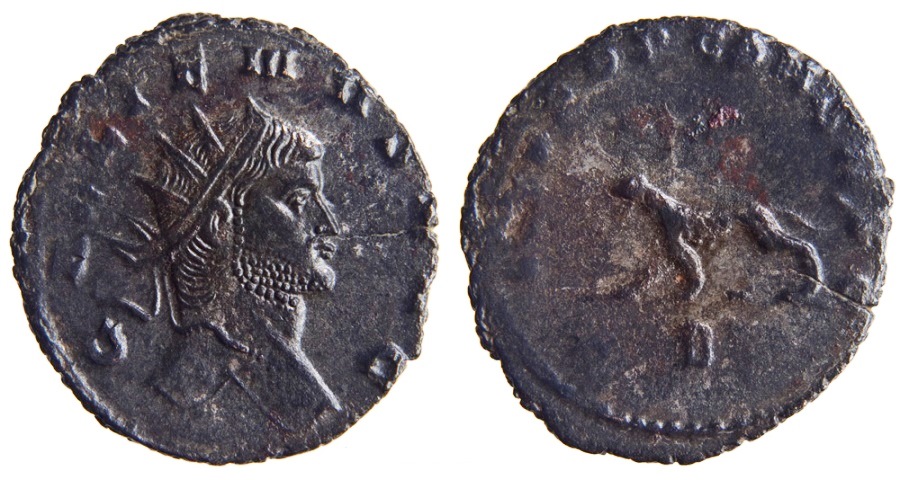 Gallienus LIBERO P CONS AVG Tiger.jpg