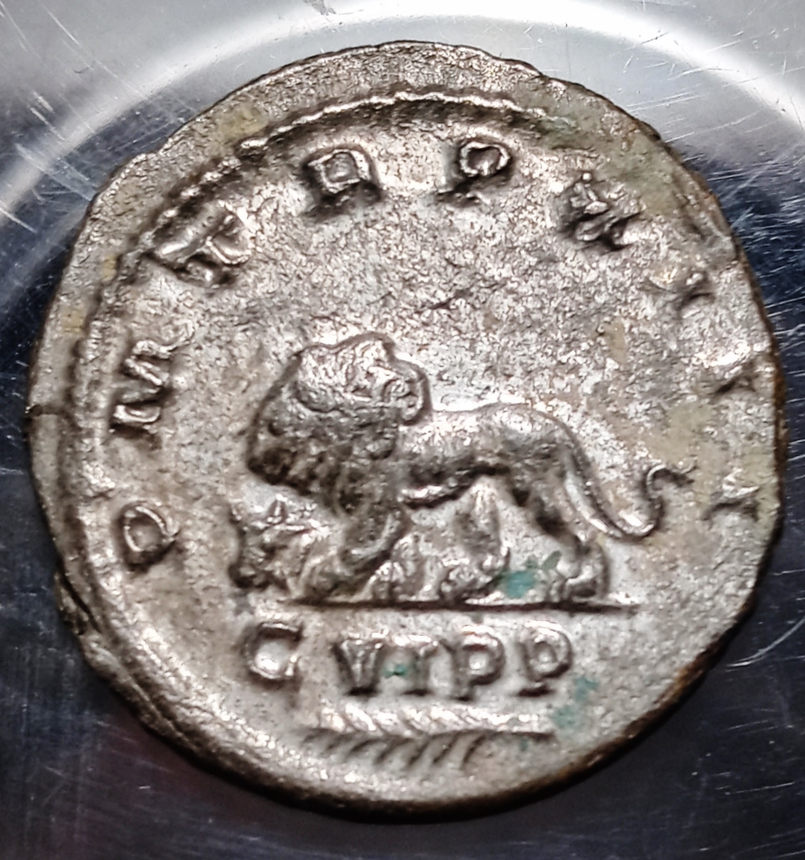 Gallienus - Lion new Rev..jpg