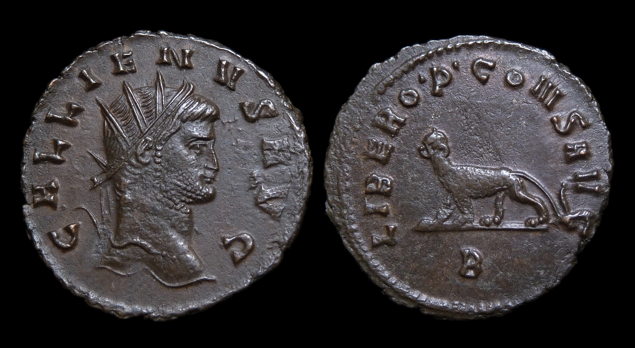Gallienus - Panther CT 2017 SS 2324.jpg