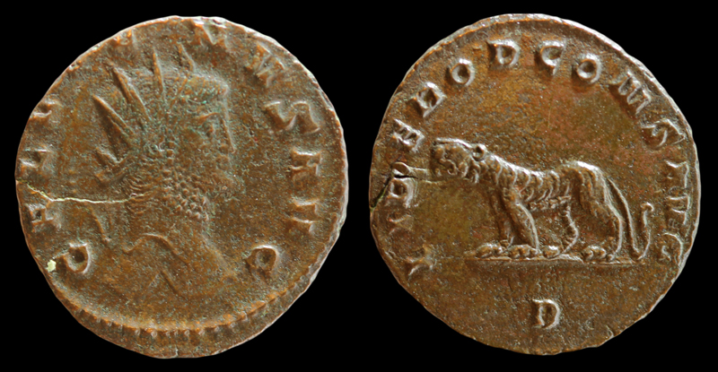 Gallienus-Panther-WFOM2014_edited-1.jpg