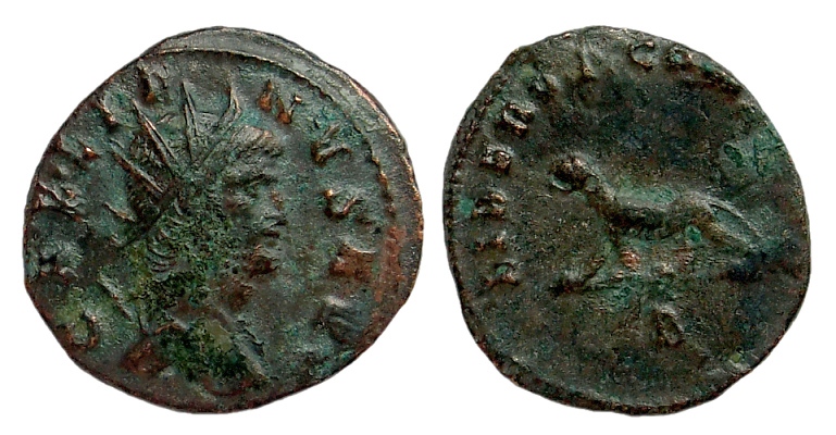 Gallienus panther400.jpg